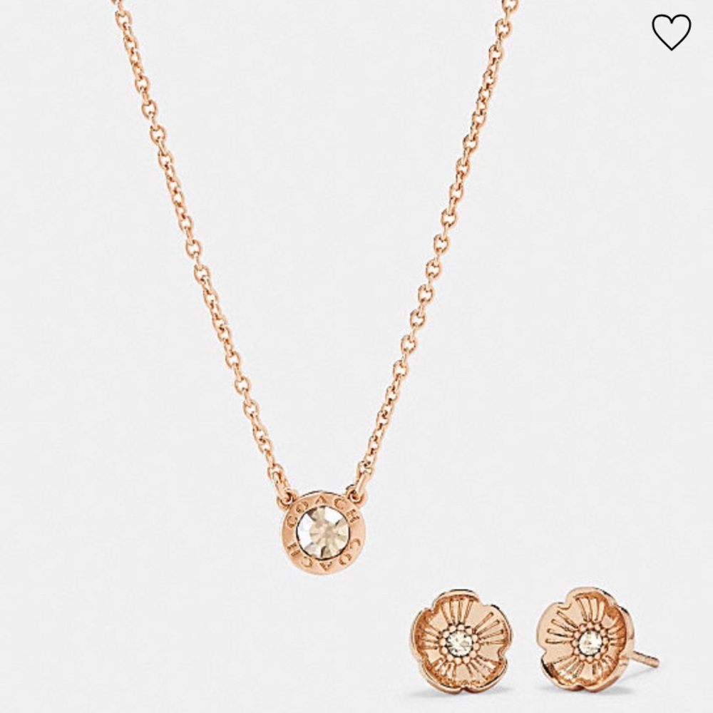 Coach necklace and earring set